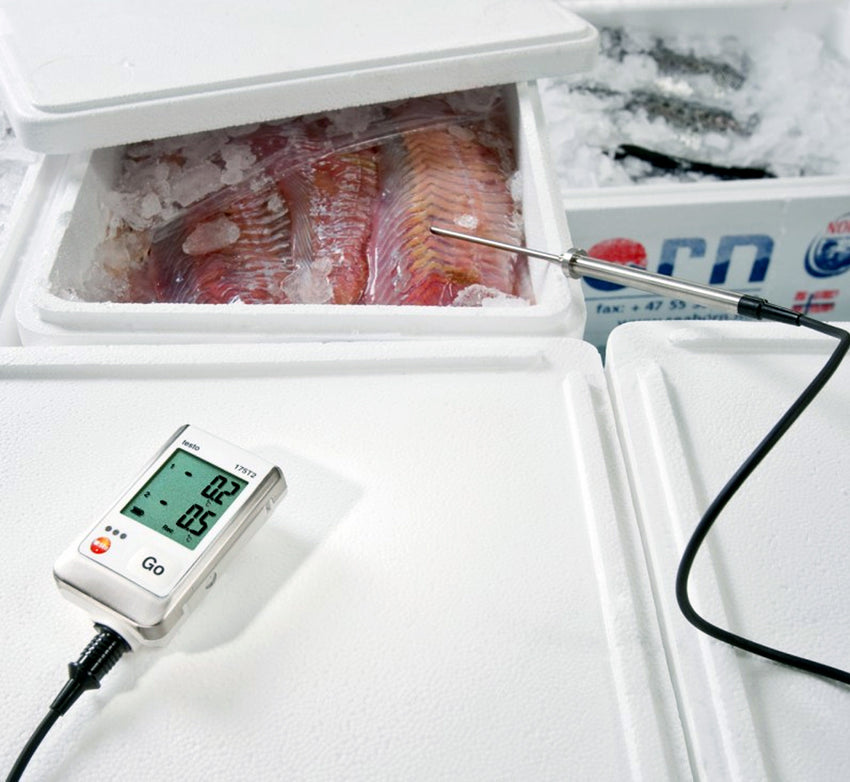 Two Channel Temperature Data Logger - Testo 175-T2
