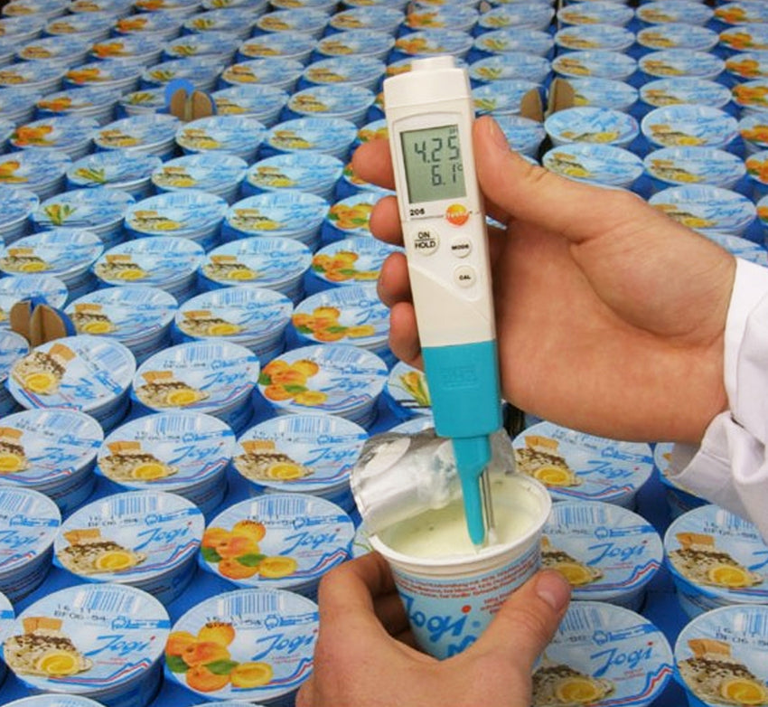 pH Meter for Semi Solid Foods - Testo 206-pH2 - Testo NZ